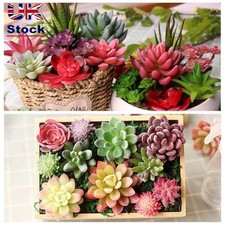 Vivid Home Decor DIY Miniature