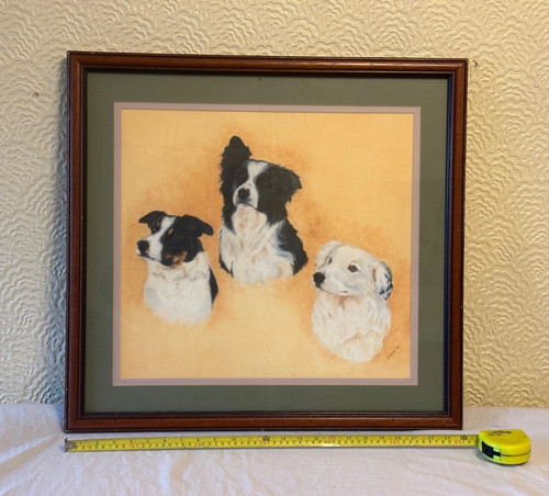 Bordie collies framed - collies,