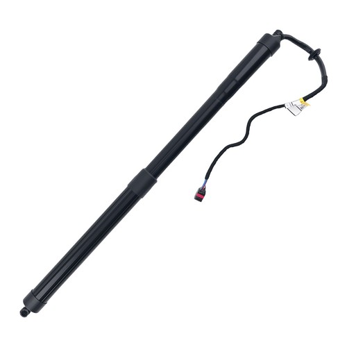 Tailgate strut electric auto - electric,