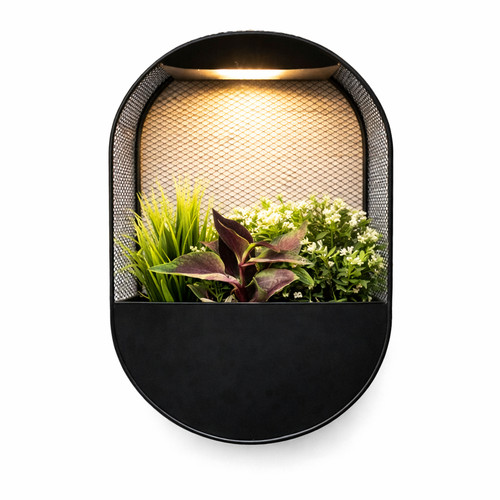 Solar wall planter - with, led