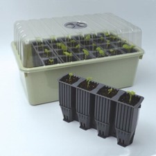 Root plant cells - plant,