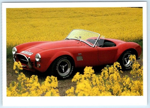 1966 red shelby - ac, cobra