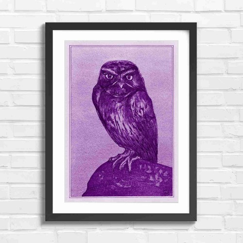 Vintage illustration owl - of,