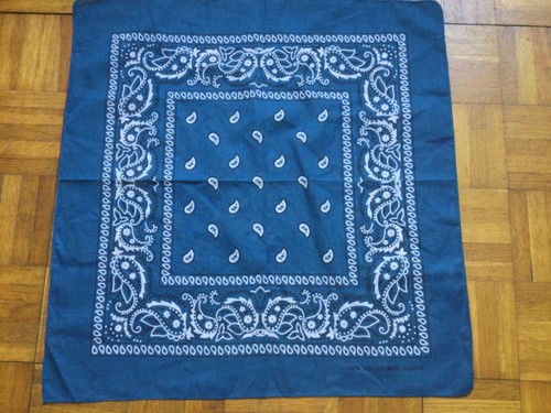 Blue 100 cotton paisley - blue,