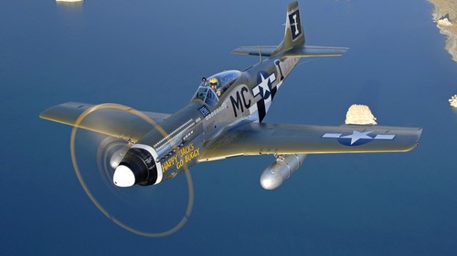 North american mustang - north,
