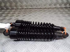 Kawasaki VN250 V Twin