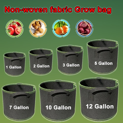 All sizes 5pack plant grow - plant,