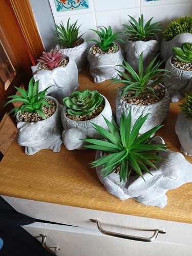 Artificial plants ceramic - plants, in