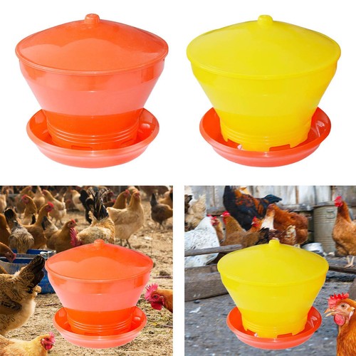 Automatic chicken feeder - automatic,