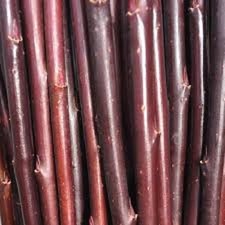 6 x willow cuttings. Salix Daphniodes (Continental Purple)  (approx 30cm) FRESH
