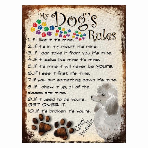 Dog rules retro - my,