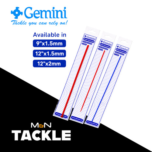 Gemini tackle genie baiting - gemini,