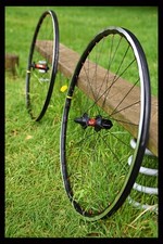 HANDBUILT DT Swiss 240 EXP road Mavic Open Pro UST Sapim CX-Ray