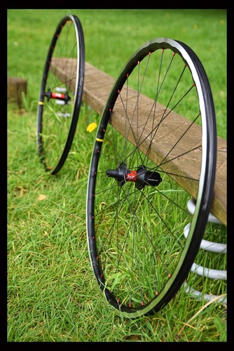 Handbuilt swiss 240 exp - dt,