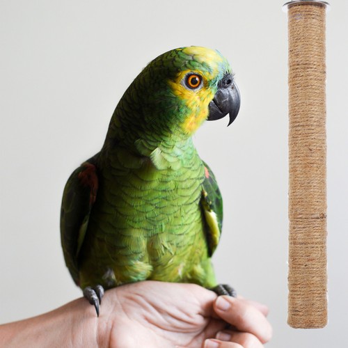 Parrot standing toy bird cage - parrot,