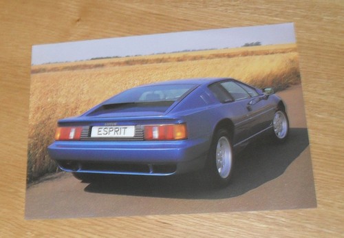 Lotus esprit brochure - esprit, /