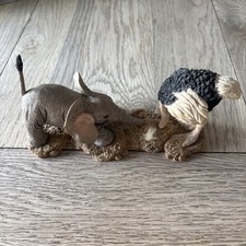 tuskers elephant ornament Hide