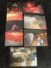 Peter Jays Superdome Circus 6