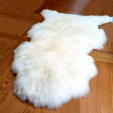Huge genuine ivory - huge, real