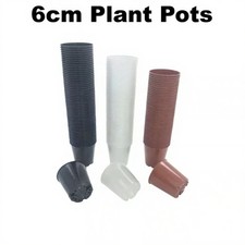 6cm plant pots small - plant, strong
