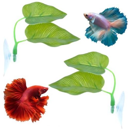 Beta fish toys pcs betta - beta,