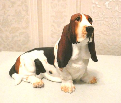 Bassett hound border - hound,