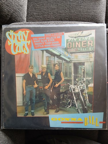 Stray cats gonna ball - stray,