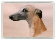 WHIPPET BEAUTIFUL DOG ART