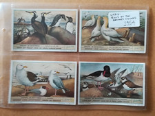 Liebig- 5x Bird-related sets