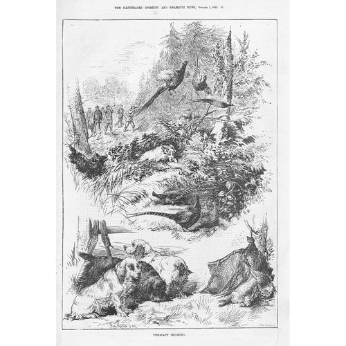 Pheasant shooting antique - shooting,