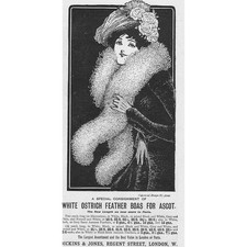 DICKINS & JONES White Ostrich Feather Boas Edwardian Advertisement 1900