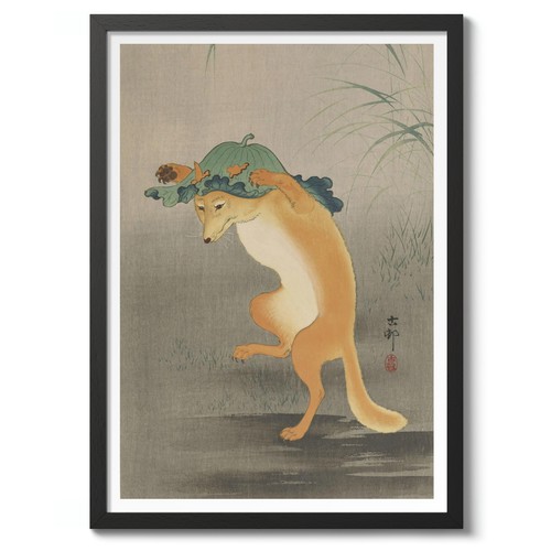 Dancing fox ohara - dancing,