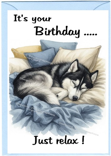 Siberian husky dog - x, 6")