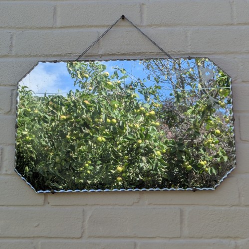 Vintage scalloped edge - vintage,