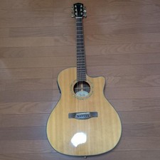 Fender Acoustic Electric