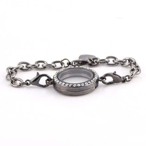 Magnetic crystal living memory - magnetic,