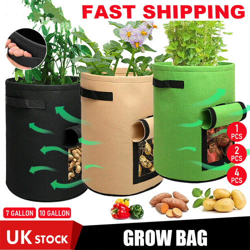 Potato grow bags tomato - grow,
