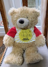 Clintons Teddy Bear  100%