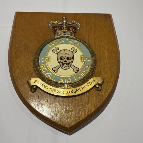100 squadron raf plaque shield - 100,