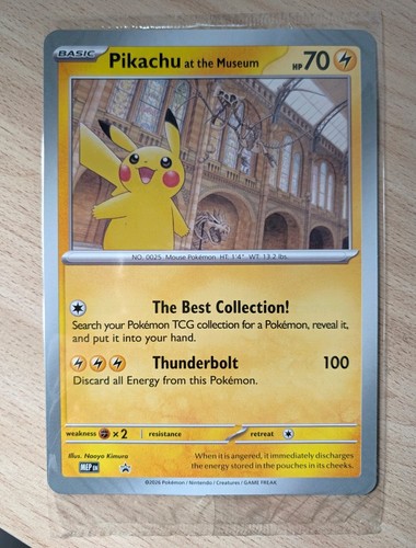 Pokemon pikachu the museum - pokemon,