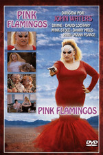 PINK FLAMINGOS