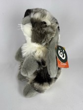 Living Nature Dutch Lop Eared