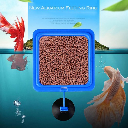 Fish tank feeding ring pc - tank, 1