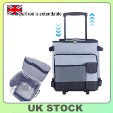 43L Cooler Box/Bag Portable