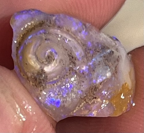 Opal snail shell - opal, coober