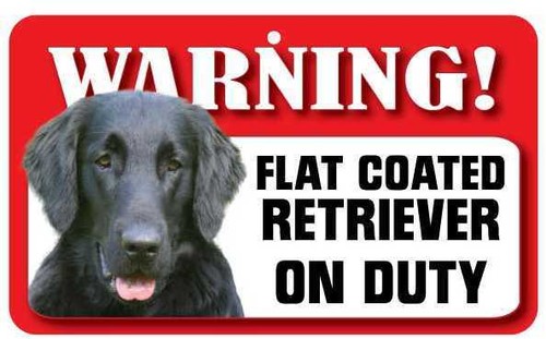 Flat coated retriever sign - flat,