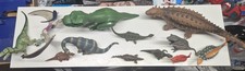 Kids Dinosaur Various Types