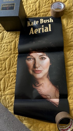 Kate bush official - kate, aerial