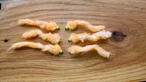 Clementine fishing trout - clementine,