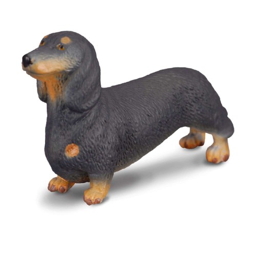 Collecta dachshund - collecta,